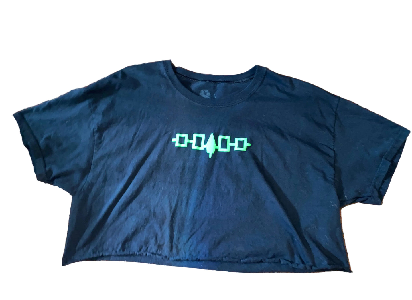 Haudenosaunee Fae Crop Top