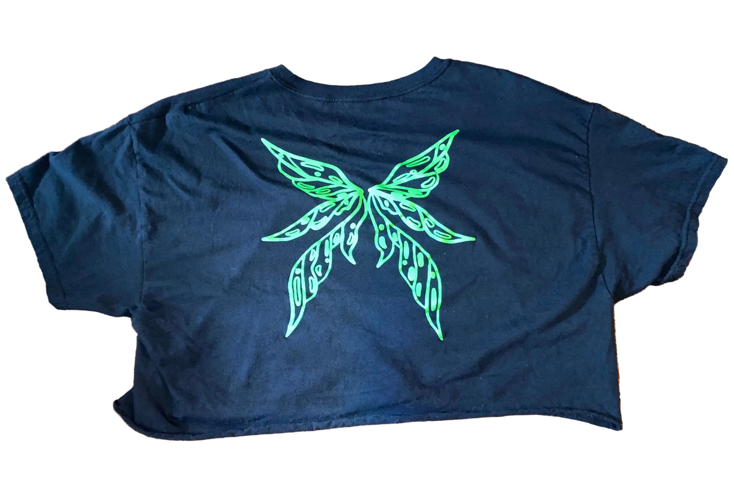 Haudenosaunee Fae Crop Top